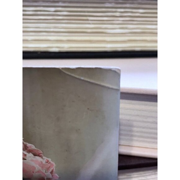 Antique French Postcard Roses Hand Colored Real Photograph Posted The Sower - Picture 4 of 9